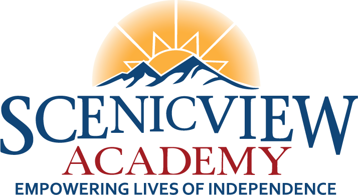 scenic view academy logo